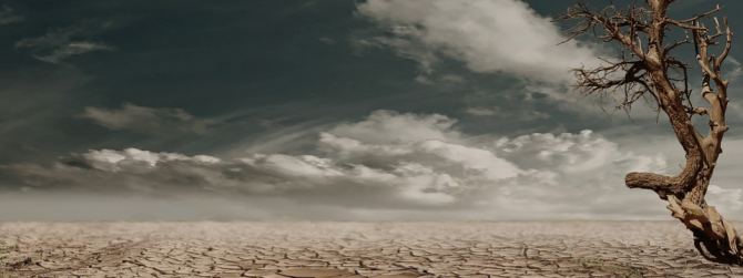 Reclaiming land for the kingdom